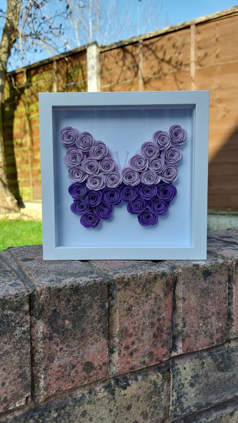 Butterfly Shadow Box 15cm